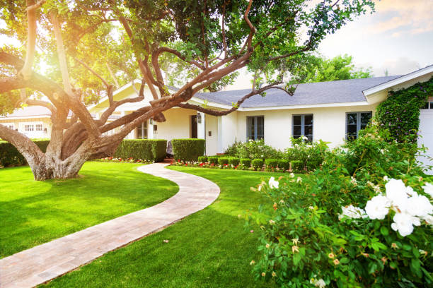 Well-maintained front yard with lush lawn and curved walkway after yard waste removal